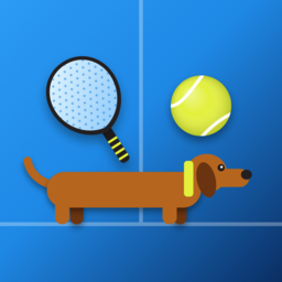 Padeldex app icon